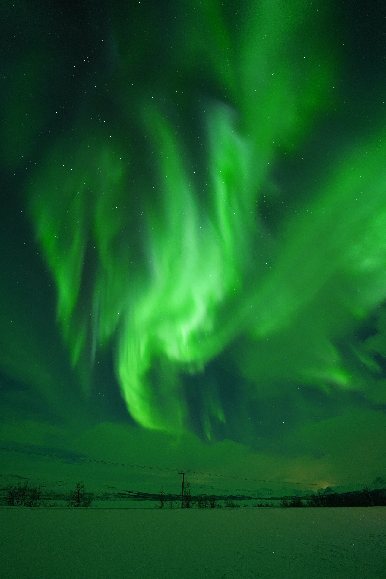 Emerald curtains
