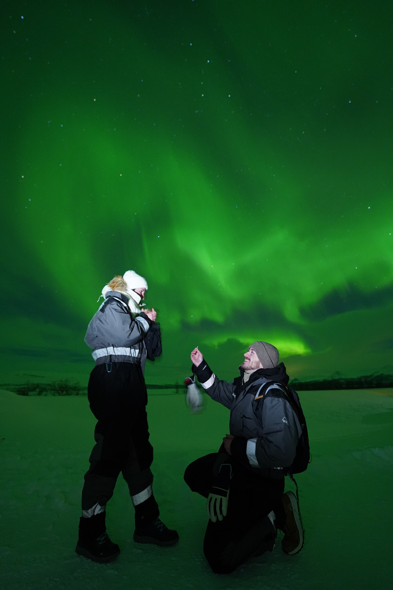 Arctic proposal